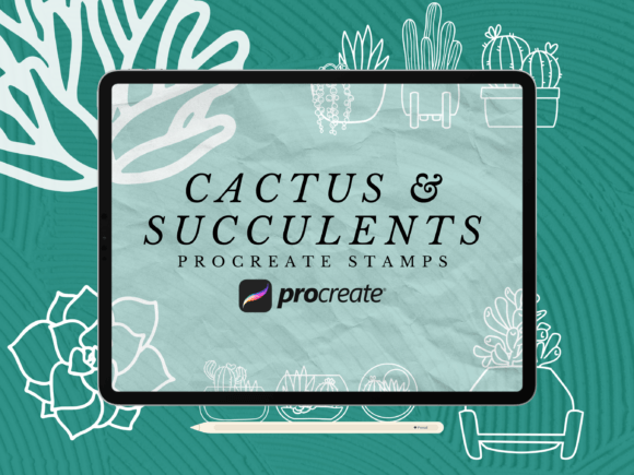 Download Cactus and Succulents Procreate Stamps - Procreate stamp Collection