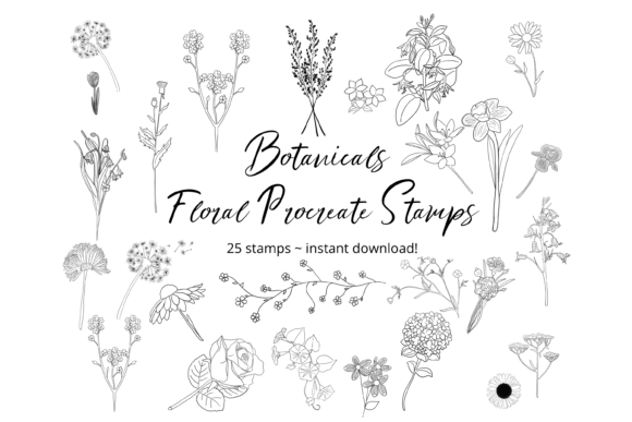 Download Floral Procreate Stamp Brushes Botanical - Procreate stamp Collection