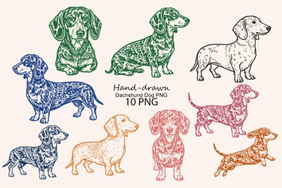 Download Hand-drawn Dachshund Dog PNG - Draw Collection