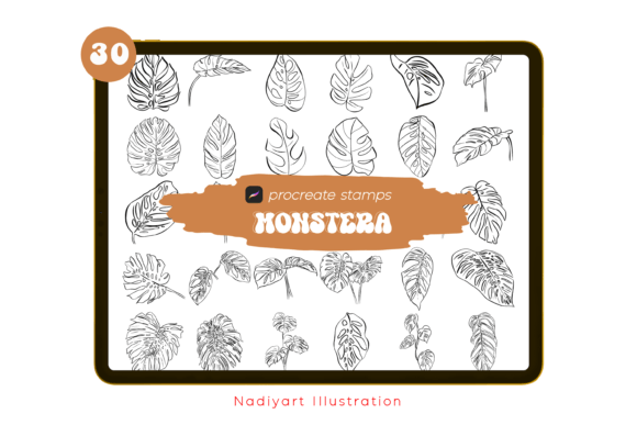Download 30 Monstera Leaves Procreate Stamps - Procreate stamp Collection