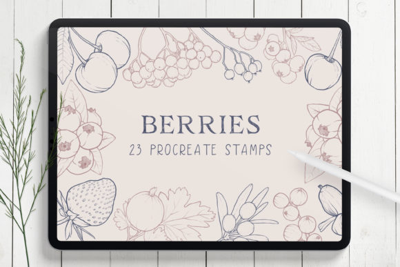 Download Berries Procreate Stamp Brushes - Procreate stamp Collection