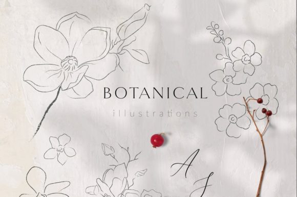 Download Line Drawing Botanicals, Plants. Brushes - Draw Collection