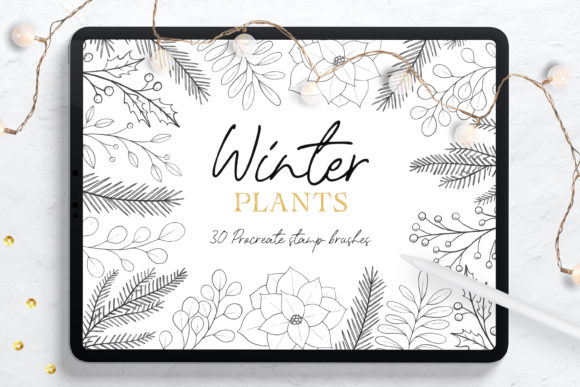 Download Winter Plants Procreate Stamp Brushes - Procreate stamp Collection